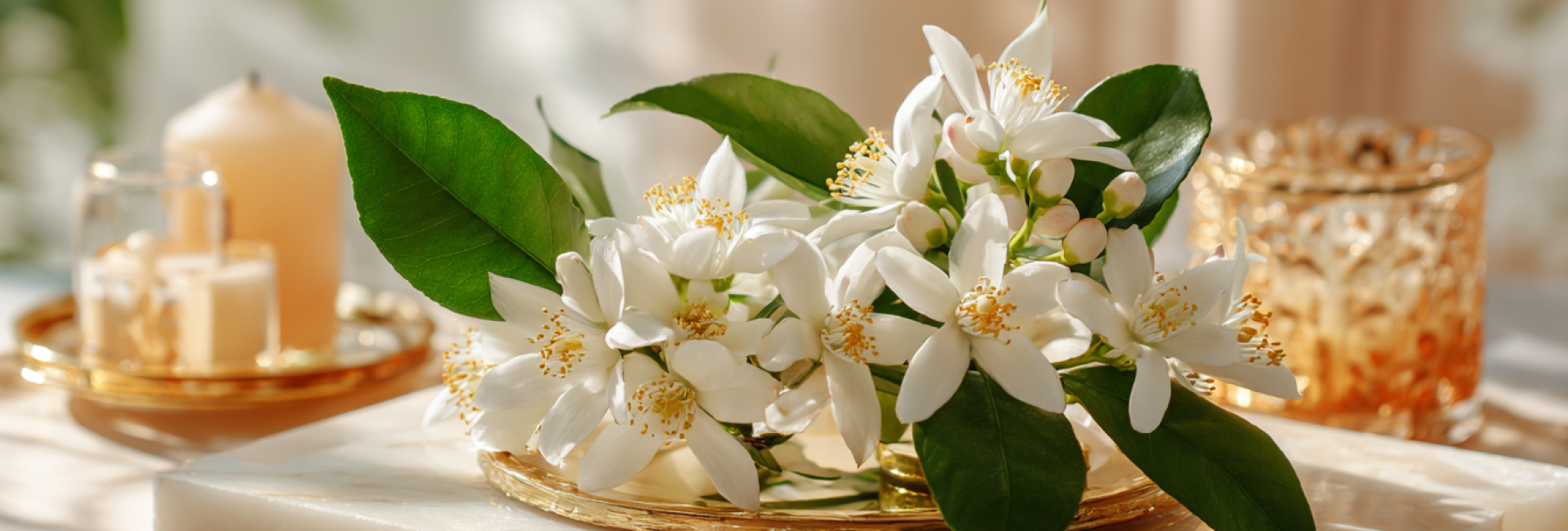 Hydrolat Neroli – codzienny rytuał piękna i spokoju w Grushka Studio