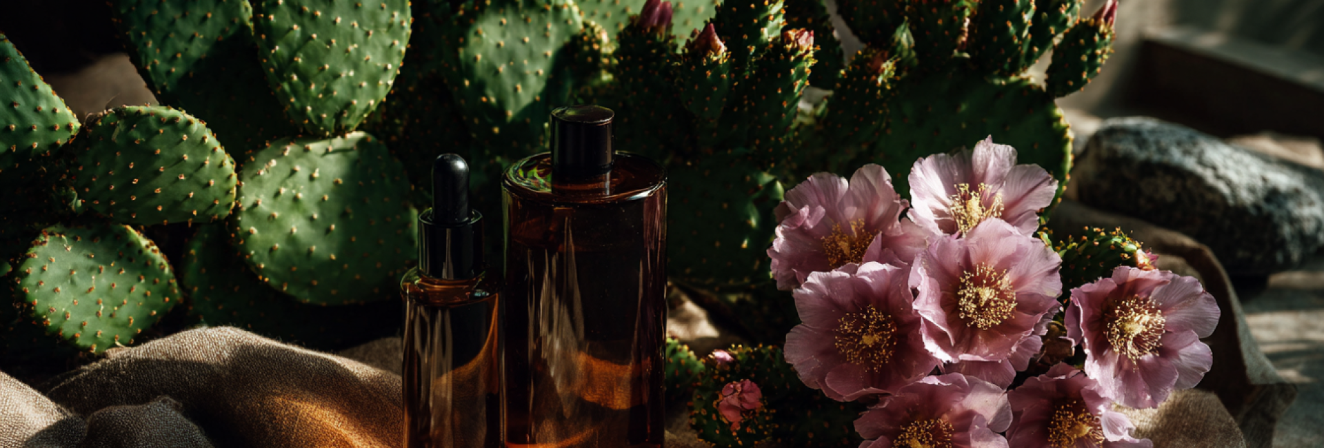 Olejek z opuncji figowej – perła natury w ofercie Grushka Studio