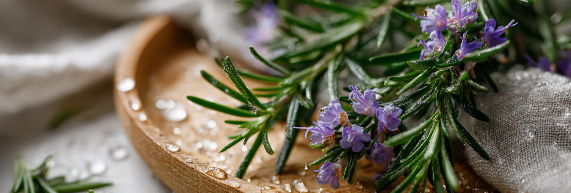 Rosemary Hydrosol – The Golden Touch in Skincare Everyone Should Keep at Home